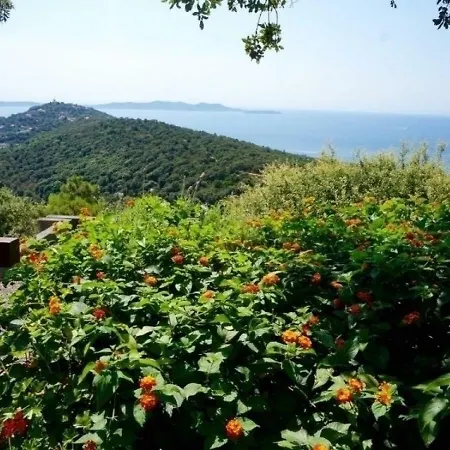 Casa vacanze House Les Fourches 2 Bormes-les-Mimosas